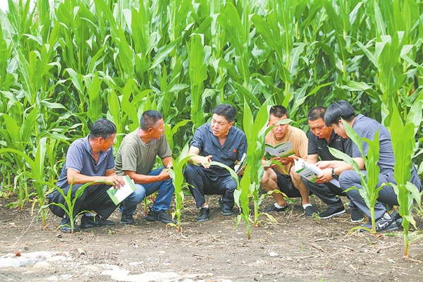 �L(zh��ng)���F·�\(y��n)ݔ��Ժ�����^����m��